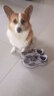 NEW BALANCE NB2002R官方休闲鞋男鞋女鞋情侣鞋夏季透气网面鞋复古时尚运动鞋 灰色 ML2002RC 39.5 (脚长24.5cm尺码详询客服) 实拍图