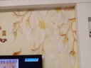 惠菲乐 3d电视背景墙纸客厅卧室无纺布壁纸影视墙无缝墙布立体凹凸壁画 无缝油画布 每平方 实拍图