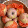 好乐果红富士苹果今年新苹果 嘎啦果脆甜鲜苹果新鲜水果生鲜小苹果年货 5斤品质 晒单实拍图