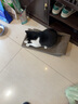 hoopet猫抓板猫窝猫床磨爪板贵妃椅沙磨爪器大号超大瓦楞纸保护沙发防猫 美人靠猫抓板 实拍图