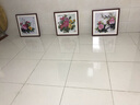 紫腾随轩新中式牡丹花开富贵装饰画客厅餐厅背景墙画卧室床头挂画壁画 图19 60*60cm红木色实木框 实拍图