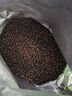 GO！SOLUTIONS无谷三种鱼全猫粮8磅/3.63kg多肉成猫幼猫通用原装进口  新鲜效期 实拍图