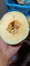 枝遥（ZHIYAO）现摘哈密瓜10斤装海南 生鲜水果网纹瓜蜜瓜冰淇淋玉菇当季 哈密瓜带箱重8.5-9斤 两个到四个 实拍图
