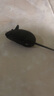 猫玩具 逗猫棒激光笔猫抓板猫转盘球宠物逗猫咪玩具套装 发声小老鼠 实拍图