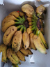 梦芷广西小米蕉新鲜香蕉酸甜拇指小香蕉青色发货（小个品种催熟食用） 净重 5斤 实惠装 实拍图