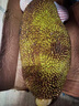 保蓉生鲜水果俱乐部海南菠萝蜜新鲜采摘优质整个黄肉菠萝蜜老树发货 23-27斤  出果率多 菠萝蜜 实拍图