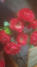 仿真富贵牡丹单支花束欧式假花绢花干花商场酒店客厅装饰插花花艺 红色 实拍图