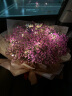 艾斯维娜520情人节鲜花速递满天星玫瑰花束送女友生日礼物全国同城配送 11朵红玫瑰花束 实拍图