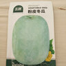 北蔬 冬瓜种子苗特大粉皮冬瓜庭院种植春季蔬菜种籽 粉皮冬瓜种子50粒 实拍图