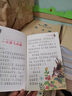 小鲤鱼跳龙门二年级全套5册注音版快乐读书吧二年级上册必课外阅读书孤独的小螃蟹小狗的小房子一只想飞的猫歪脑袋木头桩 实拍图