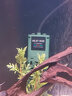 鱼缸加热棒变频小型自动恒温水族箱加温棒PTC外置温控加热器 300W 墨绿【适合60-90cm缸】 实拍图