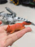 Wenno儿童生日礼物仿真动物玩具模型男女宝宝认知野生动物园恐龙摆件玩具 斑点鲨 实拍图