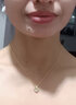 Warme Farben小天鹅项链女优雅设计百搭锁骨链女实用生日情人节礼物送女友老婆 天鹅项链-金色 实拍图