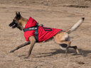 CHUKCHI楚克奇中大型犬衣服大狗衣服大狗冬装狗狗棉衣金毛拉布拉多 红色 32号颈围60CM*胸围82CM*背长65CM 实拍图