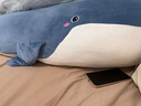 眼含泪光鲸鱼毛绒玩具女孩夹腿陪睡觉抱枕娃娃长条玩偶公仔生日礼物女生友 深蓝色鲸鱼 1.4m【独立内胆，外套可拆洗】 实拍图
