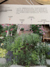 宿根花园设计与植物搭配 晒单实拍图