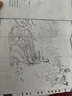 离骚全译本 楚辞珍藏古风插图 浪漫古典诗歌 长篇政治抒情诗 屈原 杨永青 黄晓丹 创意汉服设计 参考  高中语文阅读篇目 实拍图