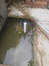 老漁匠鱼池循环过滤器水泵户外假山流水喷泉抽水吸水不锈钢大流量潜水泵 【新一代】240瓦流量每小时1万2升6.1米扬程 池塘泵-直通式 实拍图