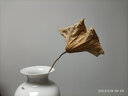 欢畅 景德镇陶瓷器花瓶中式现代家居客厅装饰书房电视柜博古架摆件 雪景玉壶春瓶+木底座 实拍图