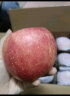 京鲜生 陕西洛川红富士苹果 净重5kg 单果200-260g 新鲜水果 晒单实拍图