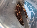 麦纤之控坚果烘焙燕麦片格兰诺拉黑巧麦片水果早餐即食冲饮隔夜燕麦 【送椰子碗+勺】五种口味各1 实拍图