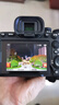 索尼（SONY）A7M4全画幅微单数码相机 ILCE-7M4/A7M4/a74单机身+FE 24-105mm F4 G镜头配件进阶套装 晒单实拍图