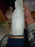 拉菲（LAFITE）【专卖店】传奇波亚克红葡萄酒750mL 法国AOC级红酒 送礼礼品 传奇波亚克礼盒装 实拍图
