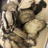 雄在玛卡深黑干果干片精选泡酒料马卡玛咖大果黑玛卡粉防秘鲁玛卡环境生长 【雄在】大果黑玛卡整果250g 实拍图