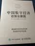 中国数字经济政策全景图 实拍图