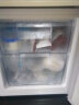 先科（SAST）小冰箱冷冻母乳 急冻小冰柜迷你家用 单门小型冷冻单温柜 全冷冻母乳冰柜 50L白色全冷冻 抽屉款 晒单实拍图