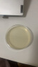 比克曼生物(BKMAM)营养琼脂培养基平板9cm即用型成品培养皿微生物细菌培养实验室 9cm平板 10个/袋 晒单实拍图