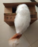 伟嘉幼猫粮海洋鱼味2kg营养加油站系列宠物猫全价粮蓝猫加菲英短猫咪 实拍图