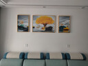 Sixpoetry 客厅装饰画现代简约沙发背景墙壁画轻奢三联晶瓷画大气高档挂画 福禄相伴（铝合金外框） 晶瓷画左右40*60+中间80*60亮面 实拍图