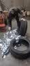 韩泰轮胎 Ventus S1 noble2 H452 235/45R18 94W原配亚洲龙起亚K5索纳塔 全新轮胎 汽车轮胎 实拍图