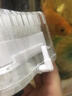 疯狂水草电动水妖精圆形小型鱼缸过滤器循环泵三合一迷你过滤增氧一体静音 [不带气泵]白色迷你水妖精（送2米气管） 实拍图