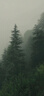 拓扬自动雨伞反向收伞防回弹折叠伞男士车载机械伞女三折晴雨伞 10骨自动雨伞防回弹【经典黑】 实拍图