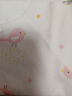贝瑞加（Babyprints）婴儿连体衣宝宝满月服新生儿衣服四季纯棉哈衣蝴蝶衣 粉鸟66 实拍图