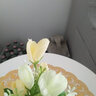 花艺赫家饰仿真花郁金香塑料花小盆栽室内家居餐桌摆件客厅办公桌装饰假花 白色玉兰苞+白色花瓶套装 实拍图