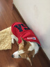 楚克奇（CHUKCHI）大狗衣服边牧金毛中大型犬冬装狗棉衣马犬马甲背心连帽两腿喜庆 红色 28号颈围50CM*胸围68CM*背长55CM 实拍图