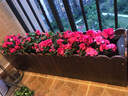 冠乐家 花箱防腐实木花箱碳化木长方形花盆户外庭院种植箱工程松木花槽 长宽高(cm)：120*30*30 实拍图