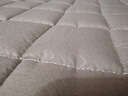 罗兰家纺 床垫软垫家用卧室保护垫防滑薄款垫被子双人可水洗折叠褥子软垫 可水洗防滑床褥保护垫-灰色 135x200cm【双重防滑 四季通用】 实拍图