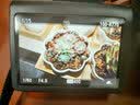 佳能/Canon 600D 700D 750D 760D 800D 850D新手学生入门旅游高清二手单反相机 750D+18-55 IS STM【套机】 准新 实拍图