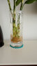 BingYi大号富贵竹大方口花器透明水晶品质玻璃花瓶 1230双心款 实拍图