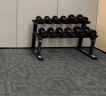 汉臣HARISON 6付哑铃 包胶固定哑铃套装圆头杠铃 商用健身房力量训练运动健身器材 105KG+六付哑铃架 实拍图