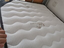 香榭柏兰 椰棕床垫棕垫硬棕榈床垫子 天然乳胶榻榻米床垫定做定制 8CM厚（防螨面料+3CM椰棕+2CM乳胶） 1米*2米 实拍图