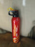 政安车载灭火器车用水基私家车小型便携车内汽车家用小车轿车消防器材 620ml 水基 【2025新款】*1套 实拍图