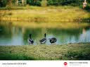 中一（zhongyi） 中一光学90mm F1.5全画幅微单人文旅拍适用于M\RF\FE\Z\L口 徕卡M黑色 标配 实拍图