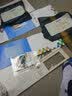 纪1-纪24 老纪特 盖销邮票 集邮收藏 品相好 实拍图