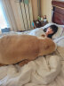 LIV HEART日本北极熊睡觉抱枕毛绒玩具布娃娃公仔陪伴玩偶生日礼物 北极熊咖啡棕(常规款) XL号 实拍图