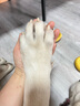 每日狗粮毛发泪痕管理低敏低脂犬粮泰迪金毛斗牛比熊成幼犬通用 低谷低敏南瓜子狗粮10KG 实拍图